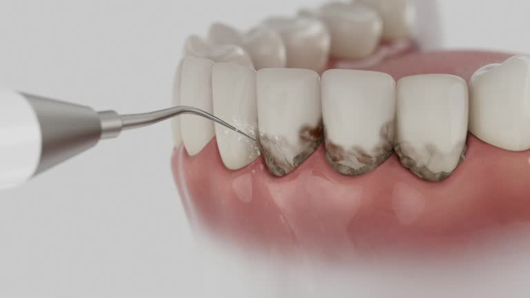 Reliable Dental contractor in Bryan, OH by Dentist Open Now